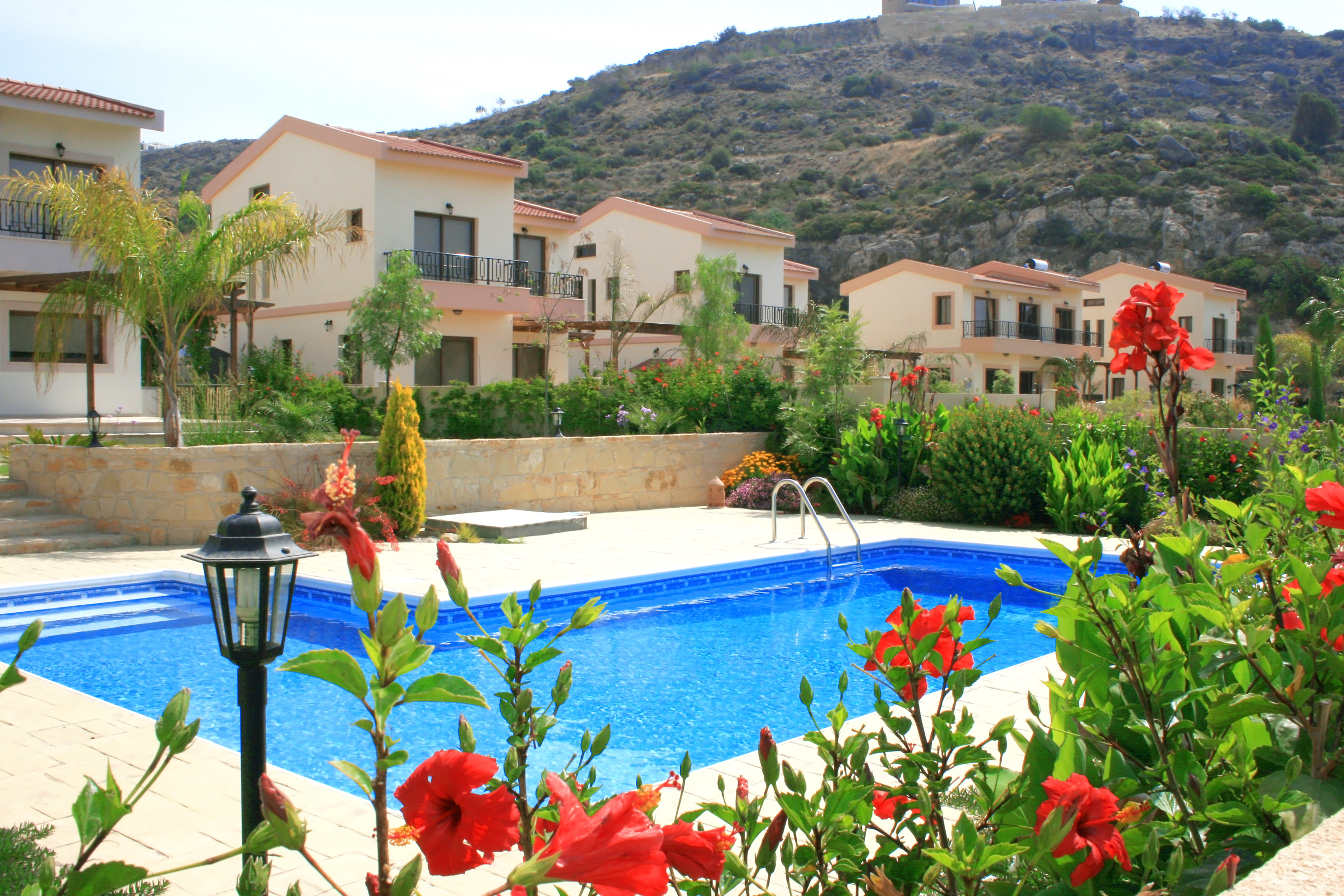 Vibrant red flowers adorning the poolside area, adding a pop of color and natural beauty to the pool's surroundings.