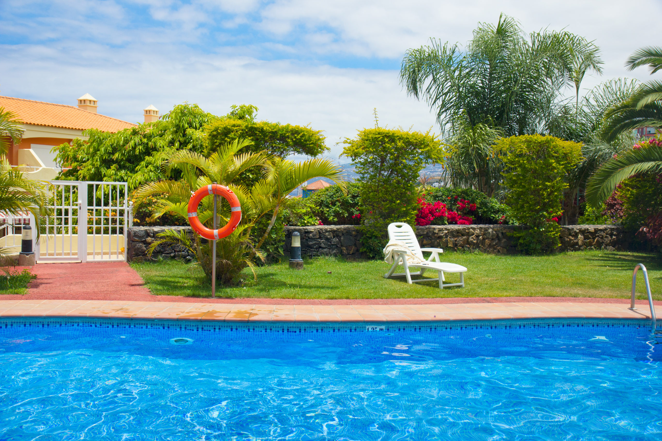 blue swimming pool in exotic tropical garden