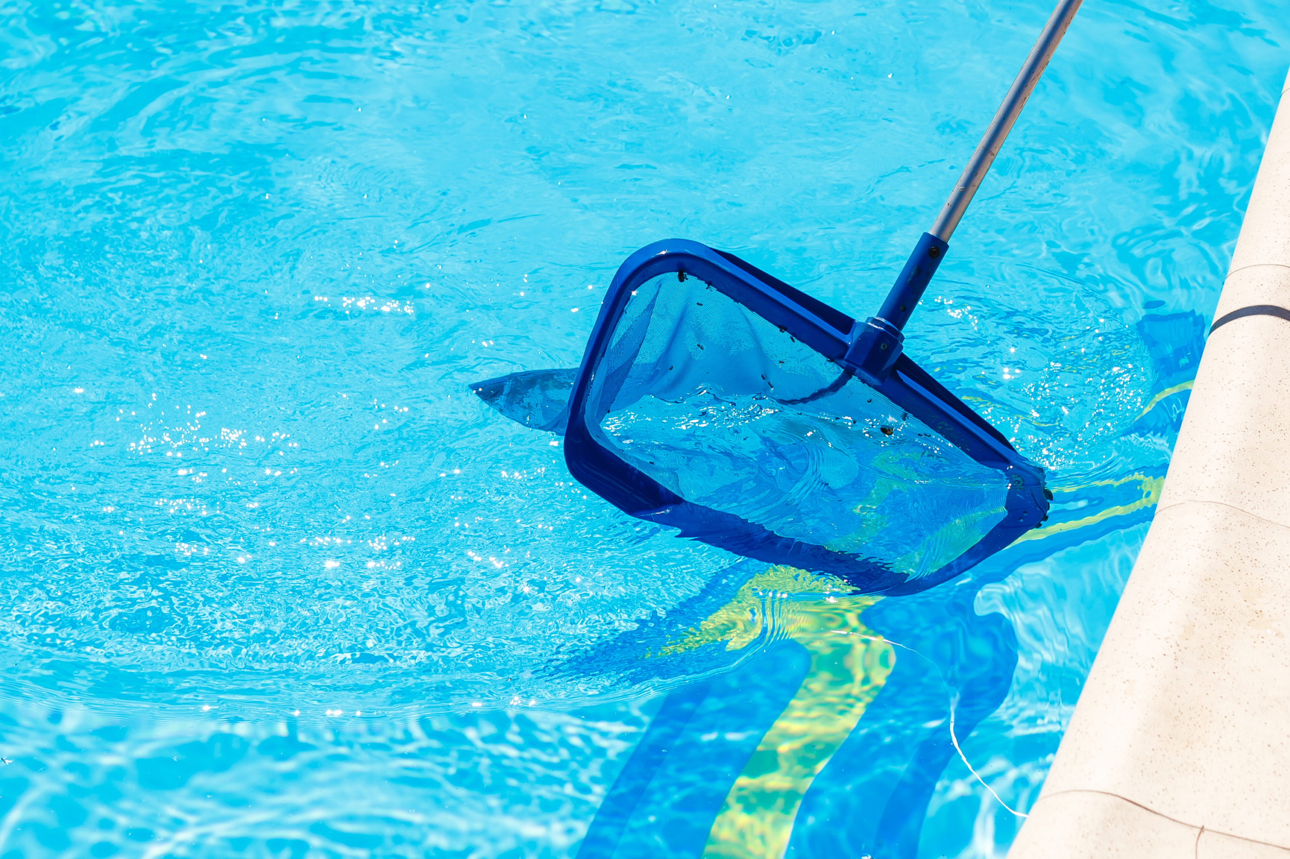 A pool scoop net used to remove leaves and debris from the pool water, keeping it clean and clear.