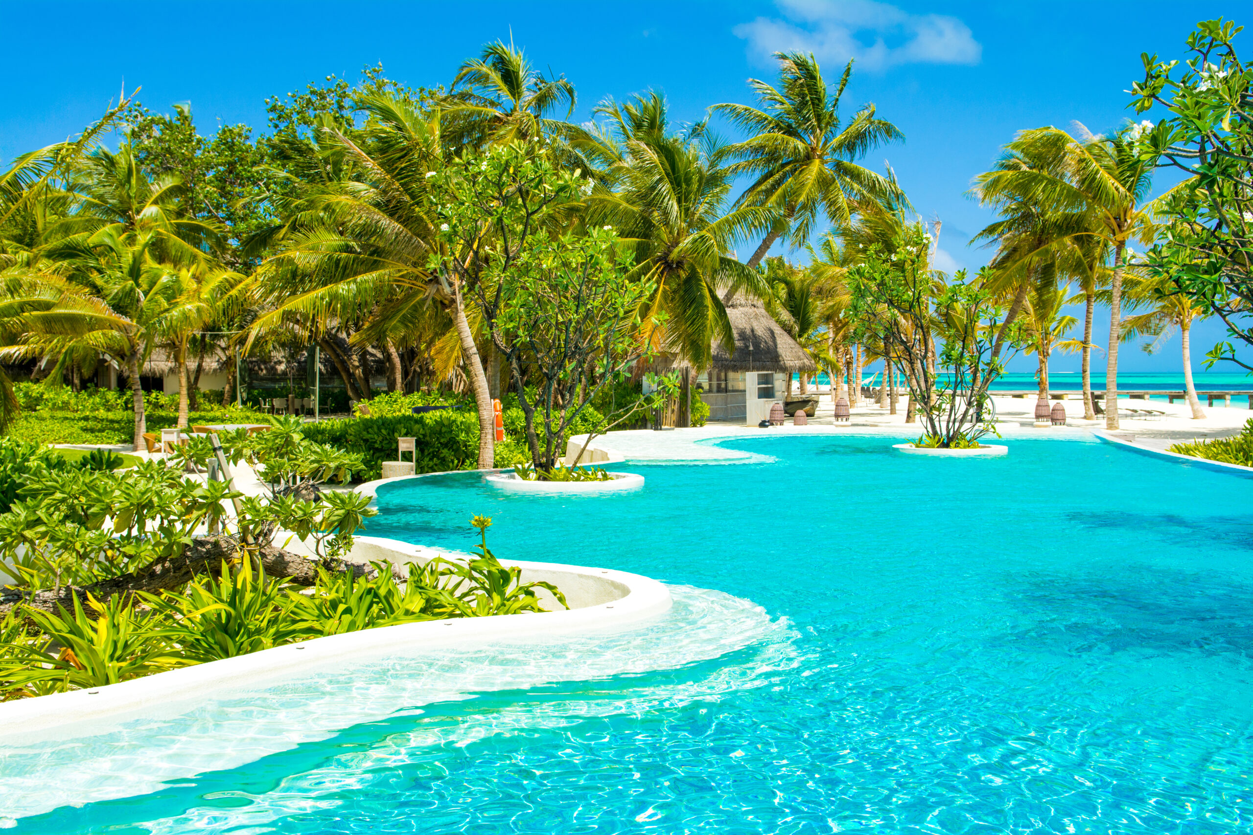 A pool with a free-shaped design, featuring trees growing at the center of the pool