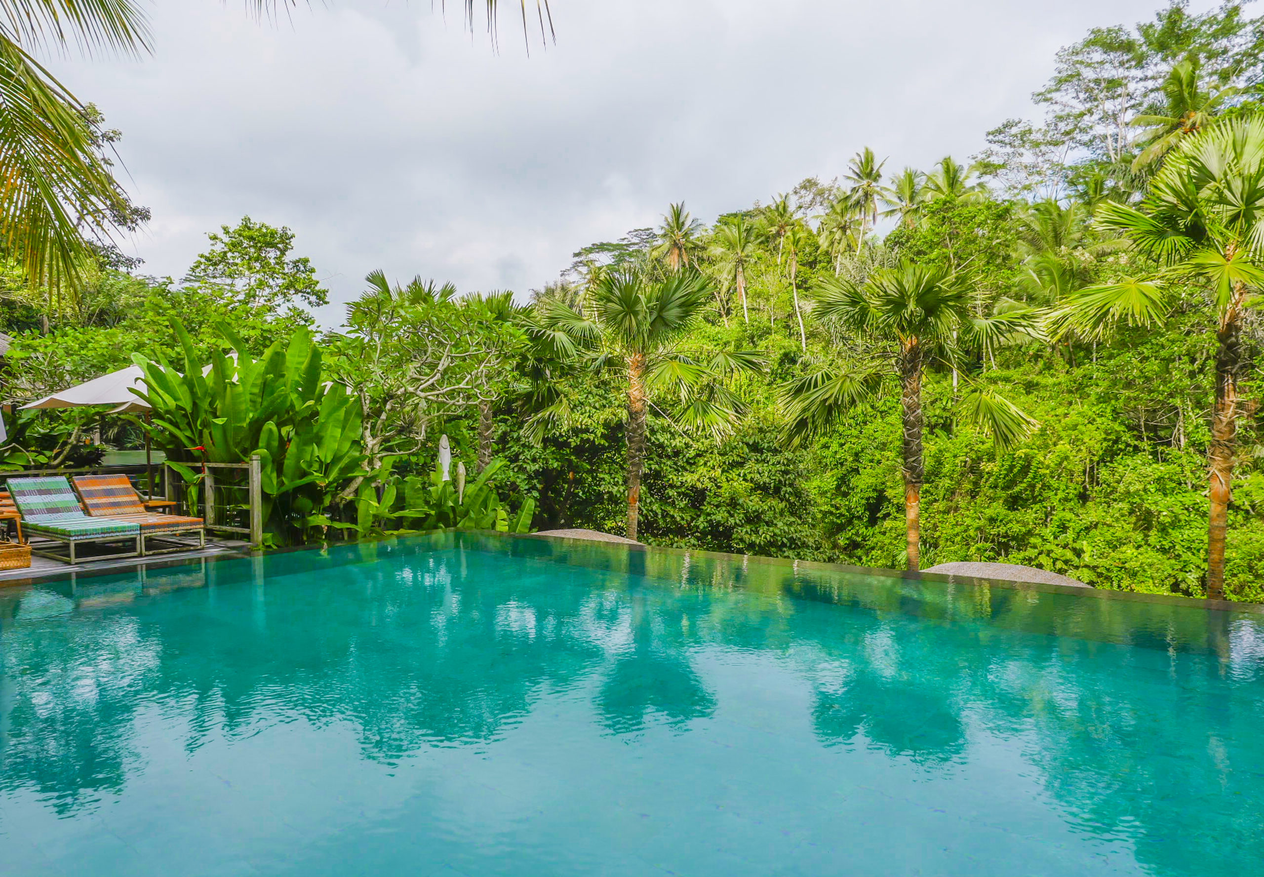 A tranquil Bali-inspired pool nestled amidst lush trees and featuring comfortable lounge chairs by the side, providing a serene and relaxing oasis.