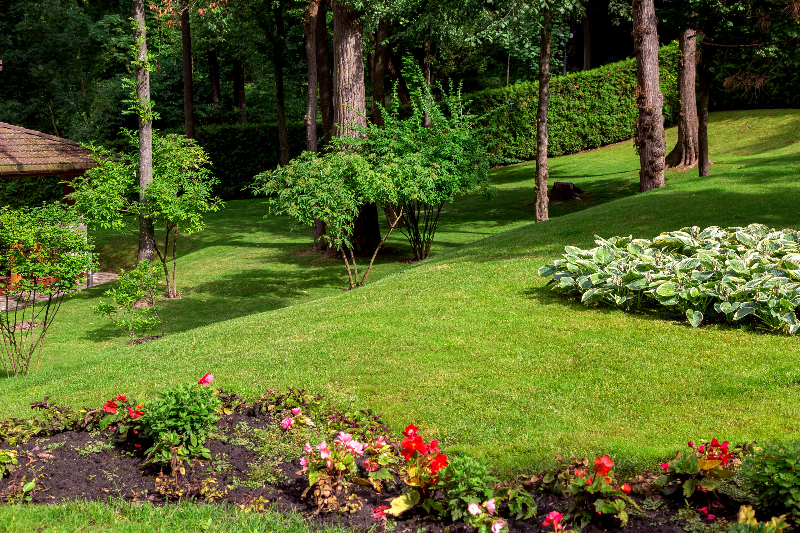 A sloped backyard with varying elevations, creating a dynamic and visually appealing landscape.