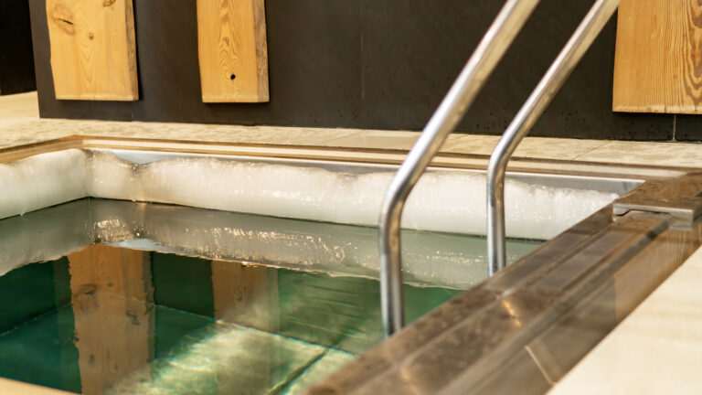 Is a Plunge Pool Right for You Design and Benefits