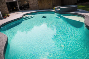 A large free form gray grey accent swimming pool with turquoise blue swim water in a fenced in backyard in a suburb neighborhood.