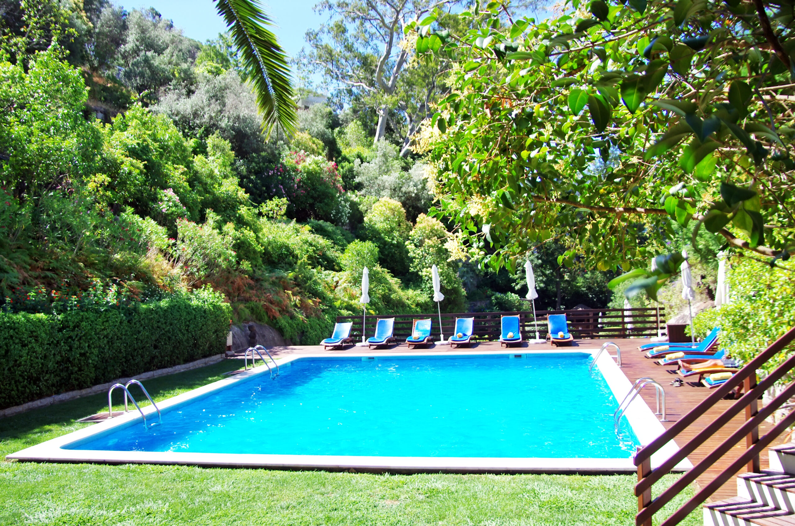 A sunny day by the pool, surrounded by trees and lounge chairs, offering a relaxing and idyllic setting for outdoor enjoyment and leisure.