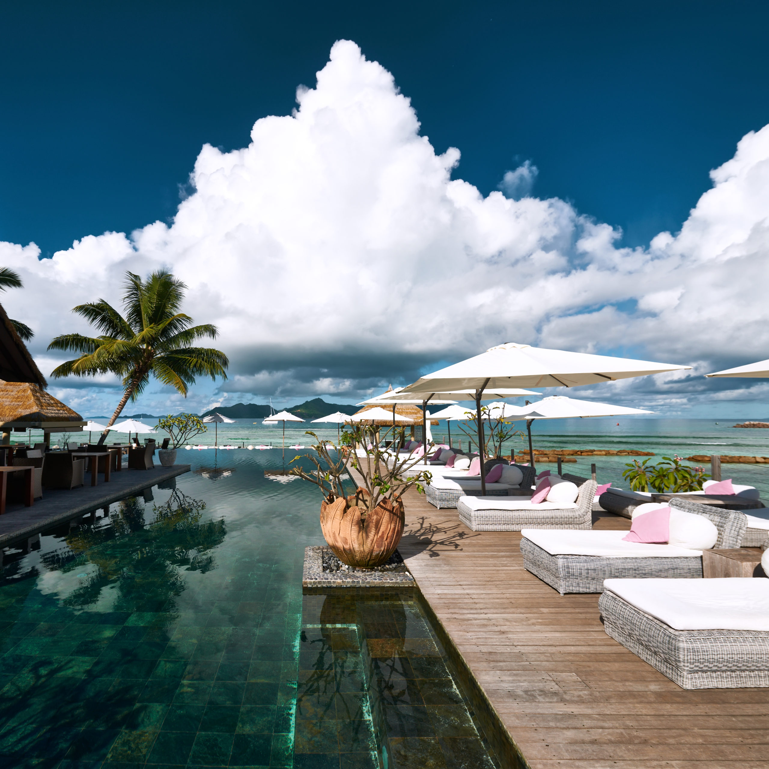 Poolside landscape, the arrangement of plants, trees, and other elements around a pool to enhance its aesthetics and ambiance.