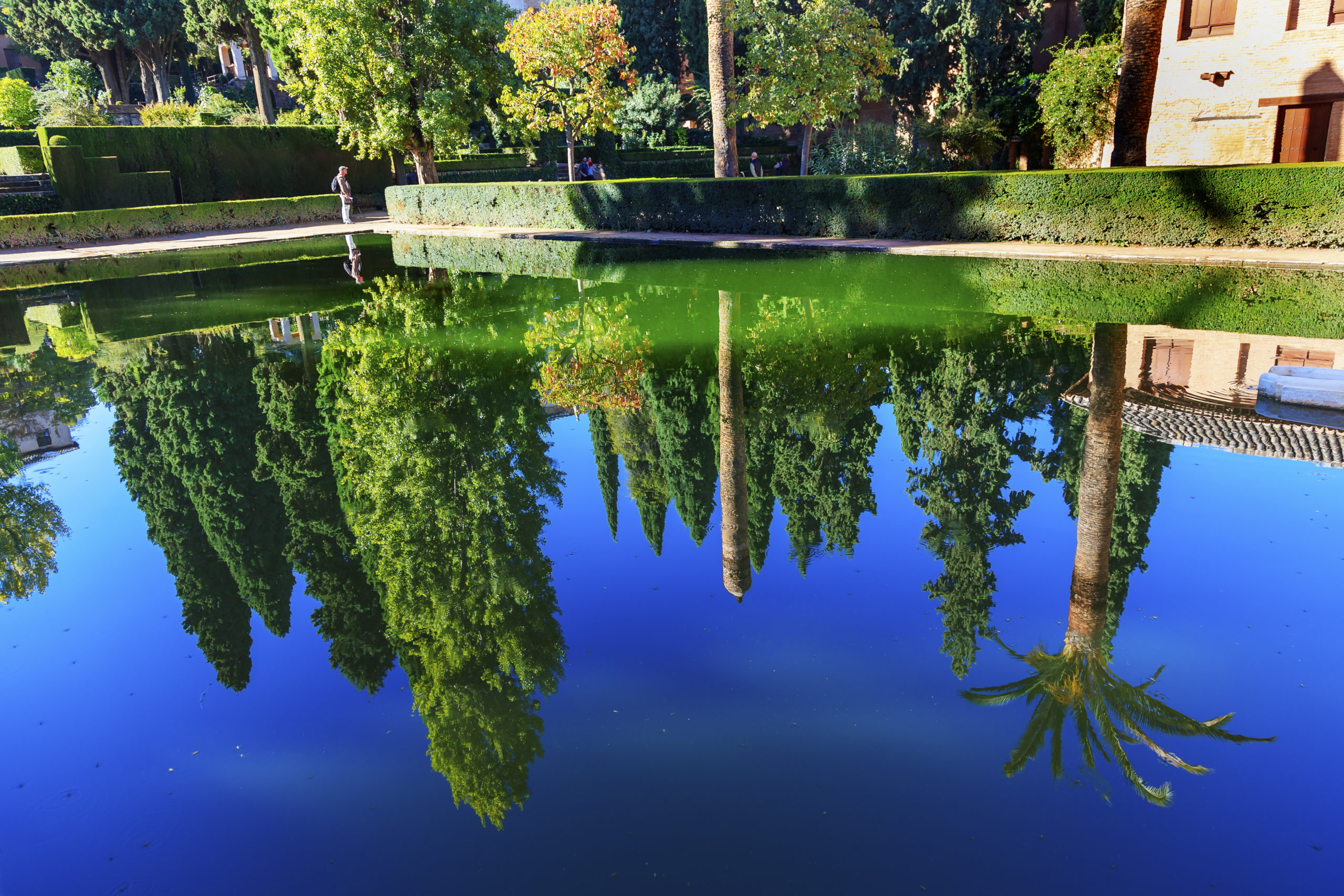 A pool reflecting the surrounding trees in its clear, still waters, creating a serene and picturesque scene of nature's beauty mirrored on the water's surface.