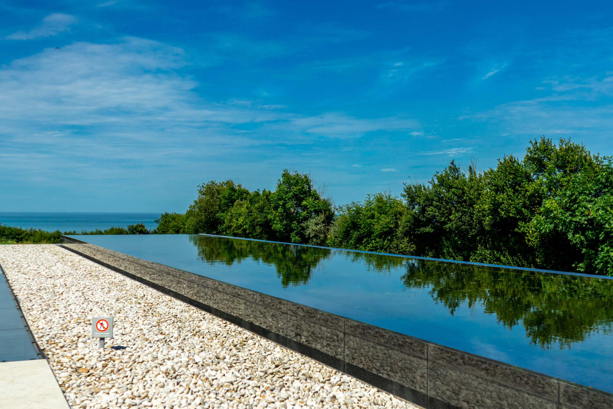 An overflow pool with lush green plants adorning its edges, creating a harmonious blend of water and nature.