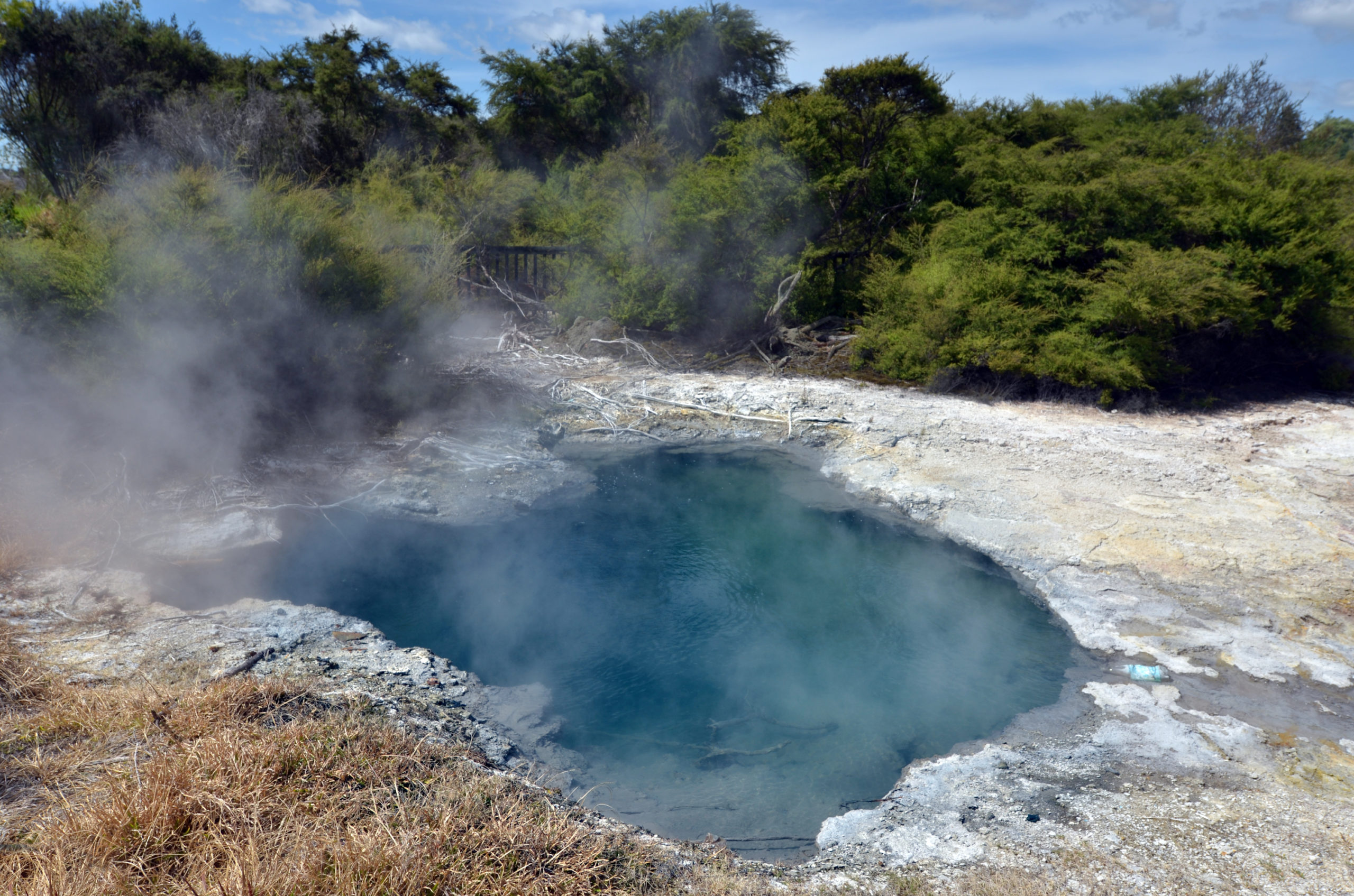 Hot pools in Kuirau Park Rotorua, New Zealand.