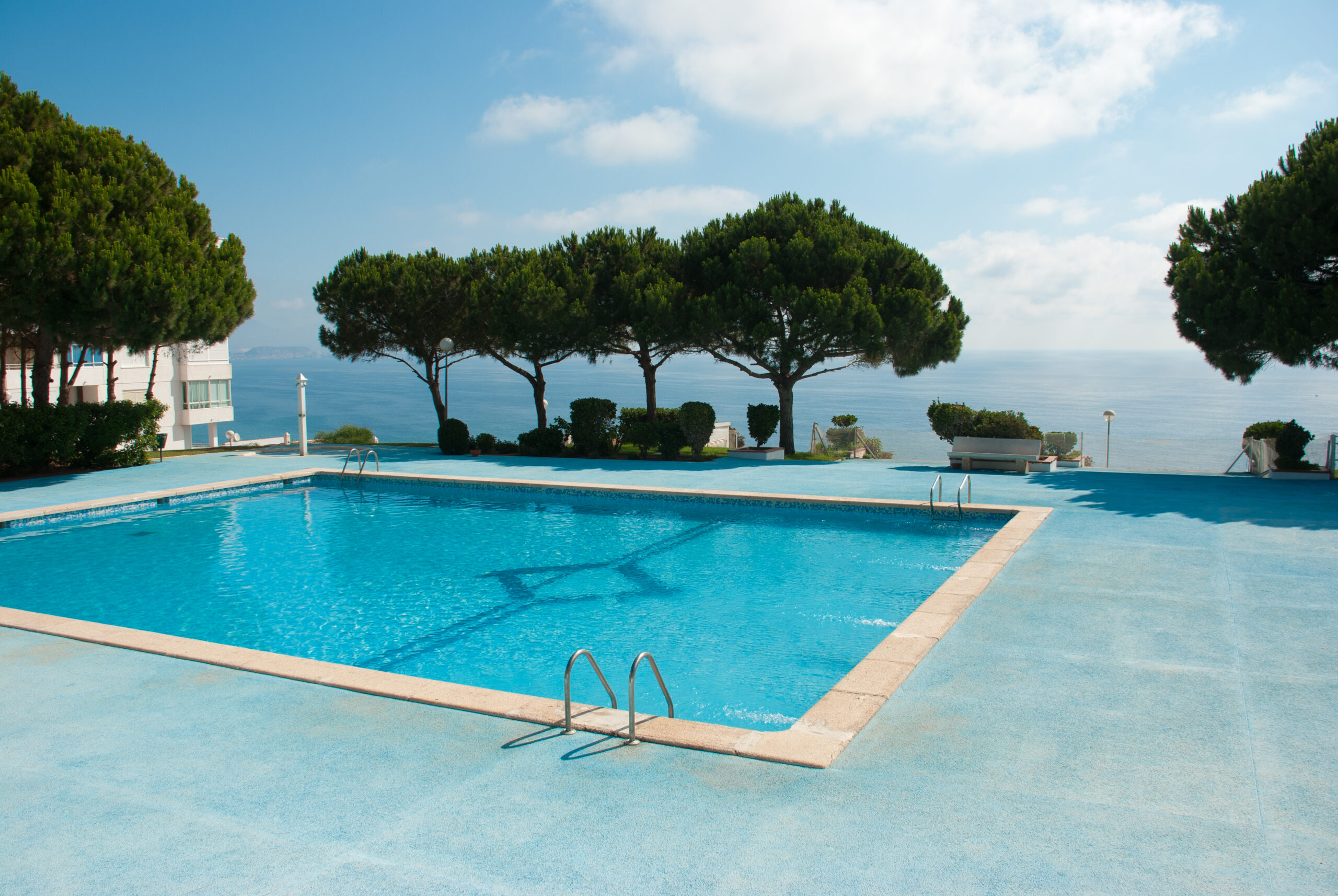 A rectangular pool surrounded by a few trees, creating a clean and classic poolside setting with a touch of natural greenery.