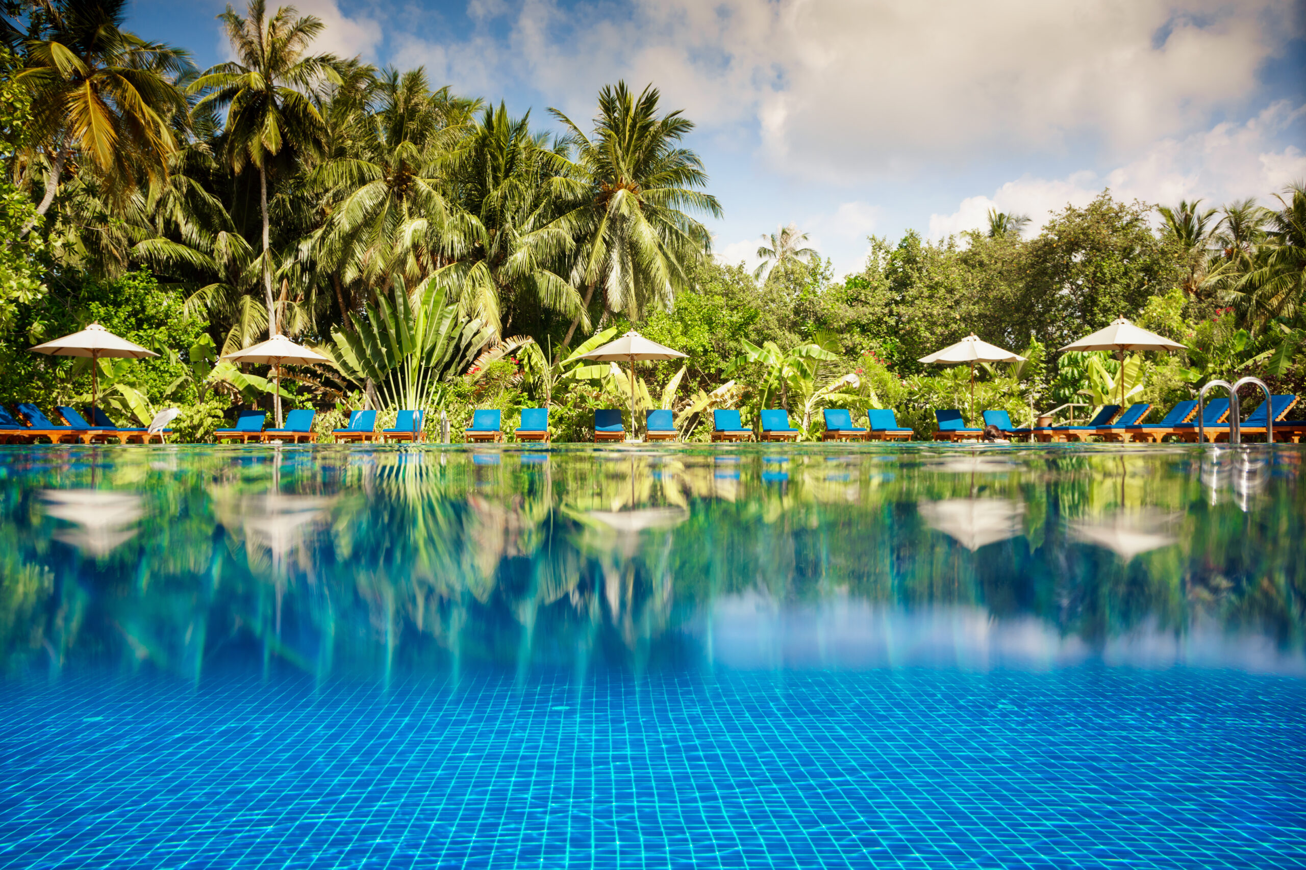 Tropical swimming pool views over the water and under water. Maldives.