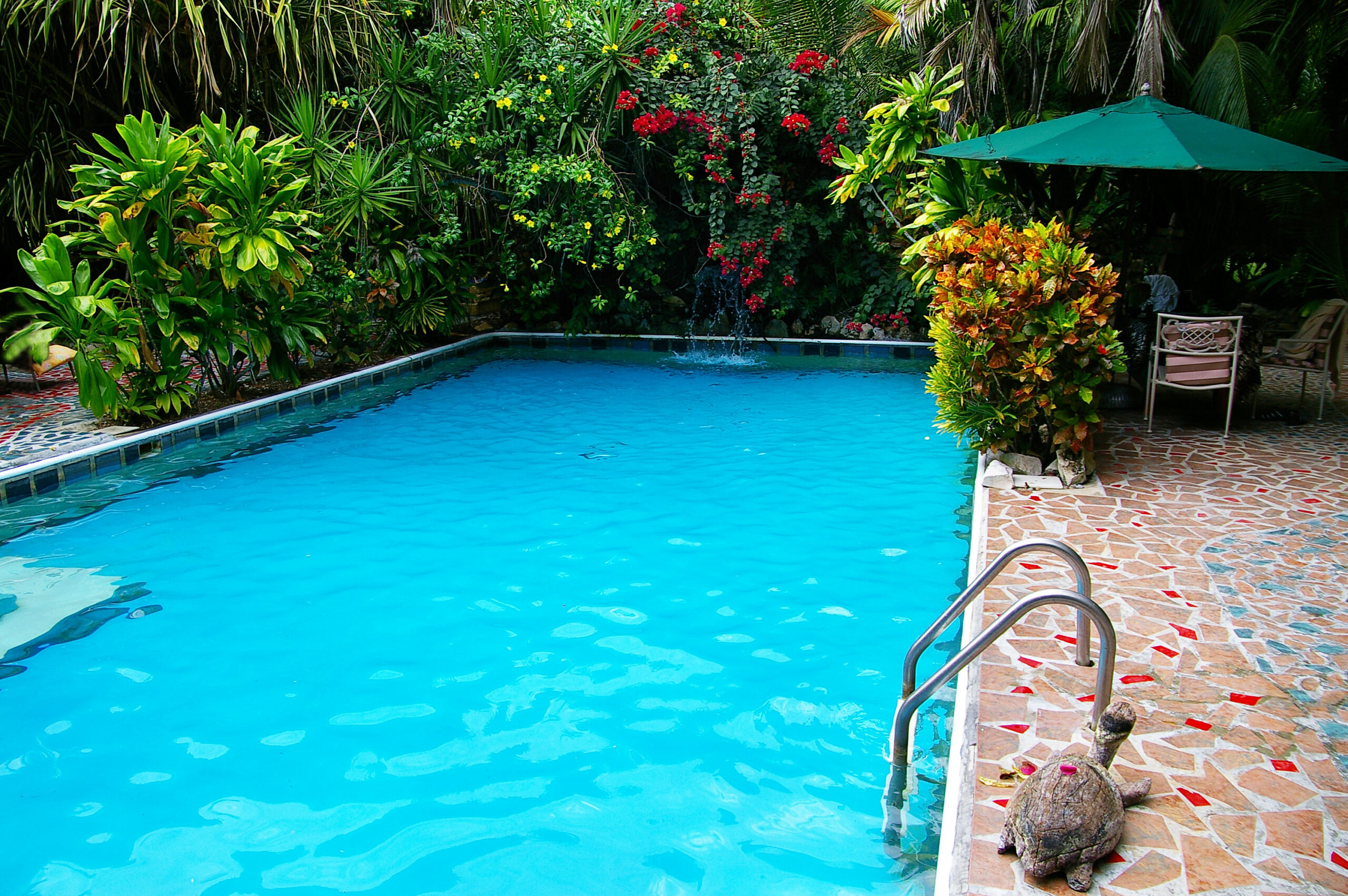 Tropical swimming pool surrounded by green plants