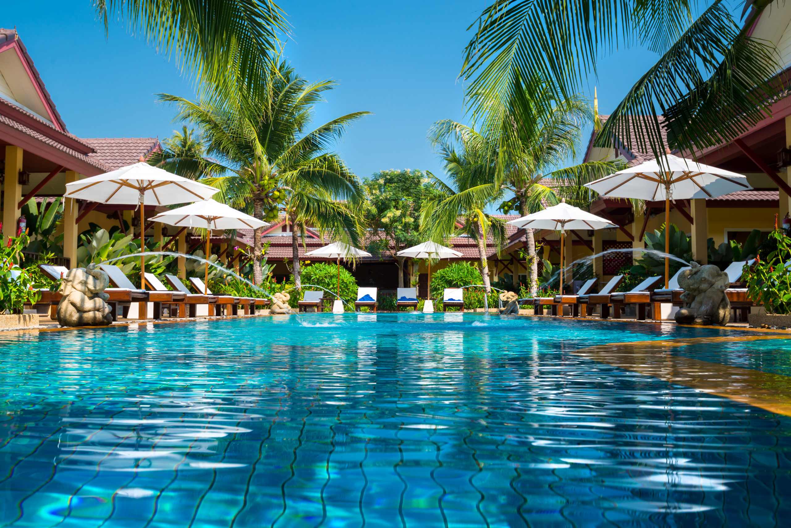 Numerous trees surrounding a pool area, providing ample shaded spots for relaxation and relief from the sun.