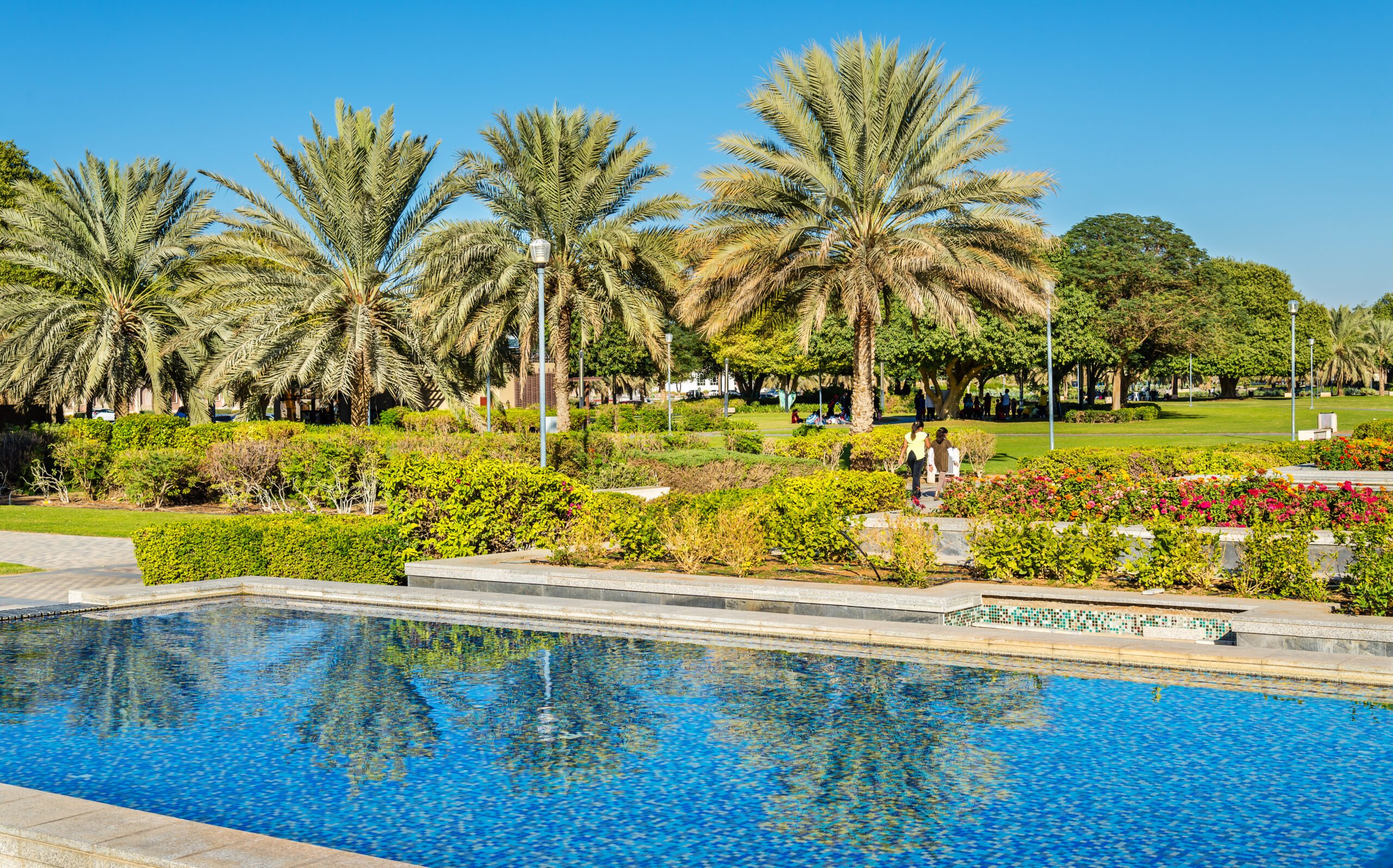 An eco-friendly pool, designed with sustainable and environmentally conscious features to reduce energy consumption, water usage, and environmental impact.