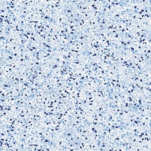 White Terrazzo 30 mil